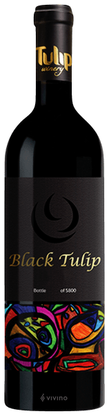 Tulip Black Tulip