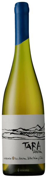 Ventisquero Tara White 1