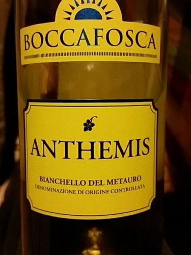 Boccafosca Anthemis Bianchello del Metauro Vivino Brasil