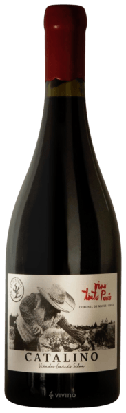 Vinho Amayna Tinto Seco Chile Catalino País 2021 750ml