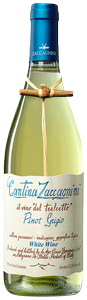 Cantina Zaccagnini Pinot Grigio (Tralcetto) 2023
