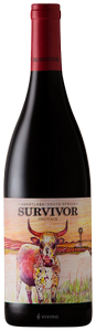 Survivor Pinotage 2019