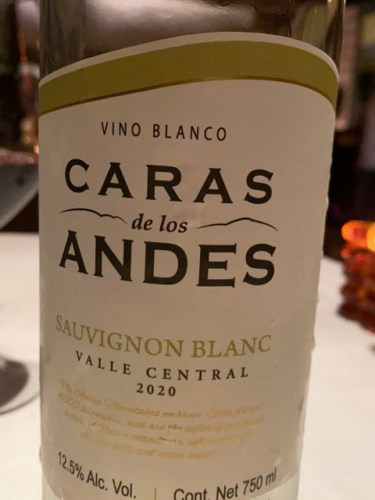 Caras De Los Andes Sauvignon Blanc Vivino