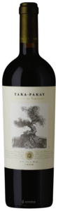 Tarapacá Tara-Pakay N.V.