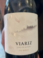 Raúl Pérez Viariz Vino de Altura