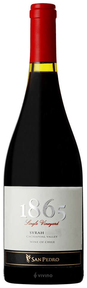 San Pedro 1865 Single Vineyard Syrah | Vivino English