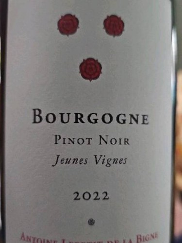 La Pierre Ronde (Antoine Lepetit de la Bigne) Bourgogne Pinot Noir ...