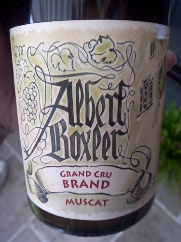 Albert Boxler Muscat Alsace Grand Cru 'Brand' | Vivino English