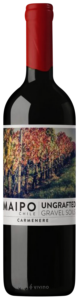 De Martino Ungrafted Grave Soils Carménère 2023