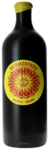Costador Metamorphika Muscat Orange N.V.