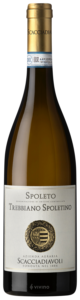 Scacciadiavoli Spoleto Trebbiano Spoletino N.V.