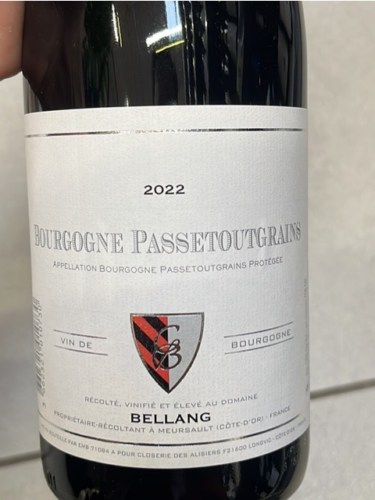Christian Bellang & Fils Bourgogne Passetoutgrains | Vivino US