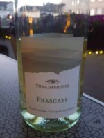 Villa Garducci Frascati