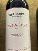 Kiss Gábor Missing One