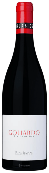 Forjas del Salnés Goliardo Tinto (Bastión de la Luna)