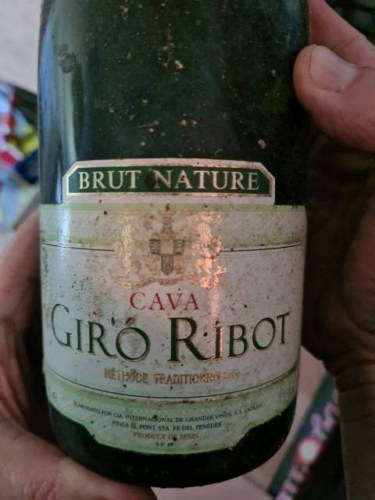 Giró Ribot Cava Brut Nature | Vivino English