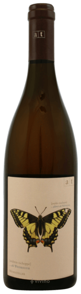 Weingut In Glanz Andreas Tscheppe Schwalbenschwanz Butterfly