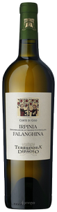 Terredora Corte di Giso Irpinia Falanghina 2022