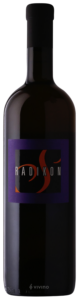 Radikon RS N.V.