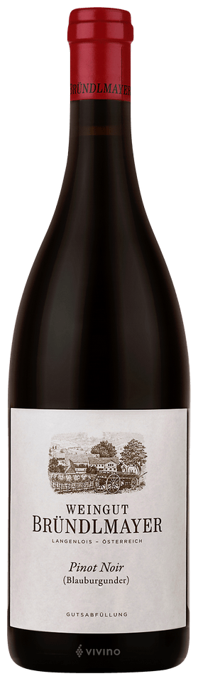 Weingut Bründlmayer Pinot Noir | Vivino English