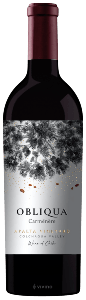 Ventisquero Obliqua Apalta Vineyard Carménère