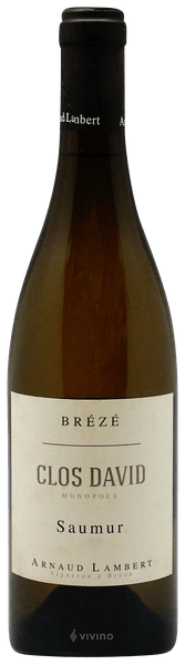 Domaine Arnaud Lambert Clos David Saumur