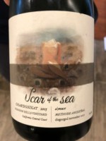 Scar Of The Sea Shandon Hills Vineyard Chardonnay Methode Ancestral