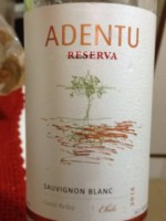Siegel Adentu Reserva Sauvignon Blanc