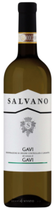 Salvano Gavi N.V.
