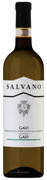 Salvano Gavi
