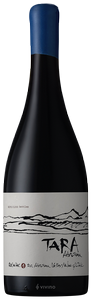 Ventisquero Tara Red 1 N.V.