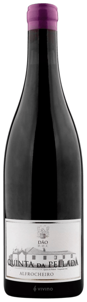 Quinta da Pellada Alfrocheiro