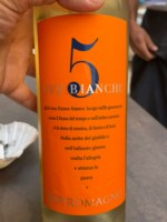 Botromagno 5 Uve Bianche