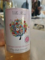 Villa Ilona Erfrischend Fruchtig Rosé