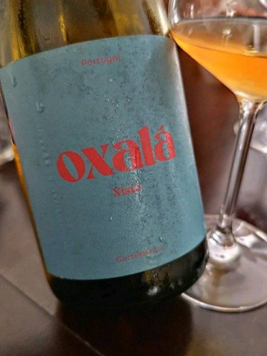 Oxalá Xisto Curtimenta Branco | Vivino English