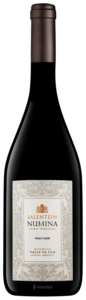 Salentein Numina Spirit Vineyard Pinot Noir N.V.
