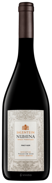 Salentein Numina Spirit Vineyard Pinot Noir