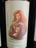 Vinho Casa Venturini Tinto Seco Brasil Reserva Marselan 2022 750ml