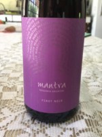 Secreto Patagónico Mantra Pinot Noir