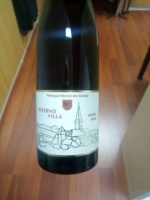 Weingut Hinter der Kirche Paterno Villa
