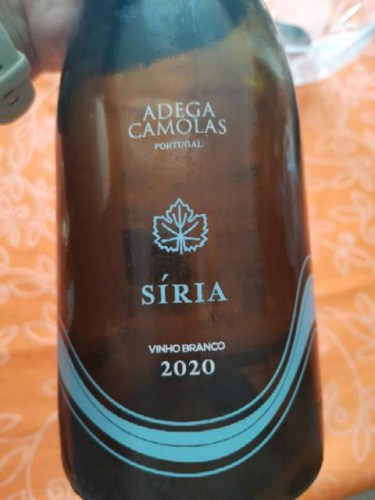 Adega Camolas Siria Vivino US
