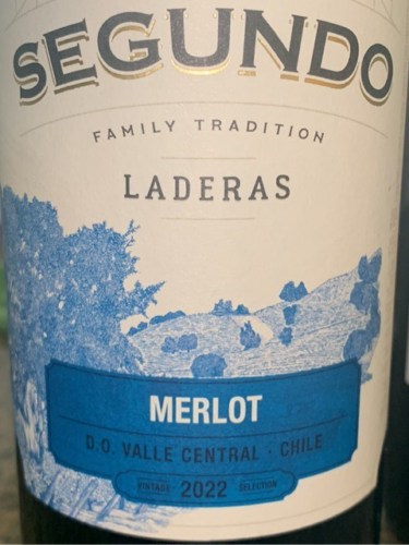 2022 Don Segundo Merlot | Vivino English