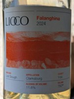 Lioco Lost Slough Falanghina