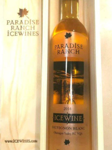 Paradise Ranch Sauvignon Blanc Icewine | Vivino English
