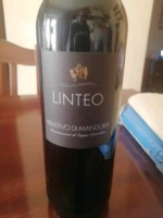 Linteo Primitivo di Manduria