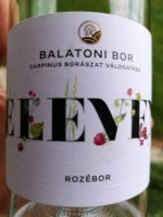 Carpinus Eleven Rozébor