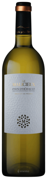 Cave des Vignerons de Saint-Chinian Le Malicieux Blanc | Vivino France