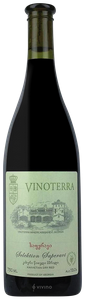 Vinoterra Selektion Saperavi (საფერავი) N.V.