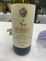 Villa Pomona L'Omino Gran Selezione Chianti Classico