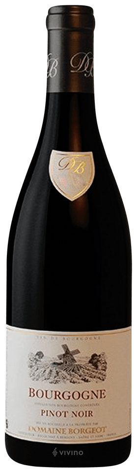Domaine Borgeot Bourgogne Pinot Noir | Vivino Français